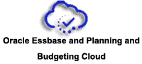 Qlik View